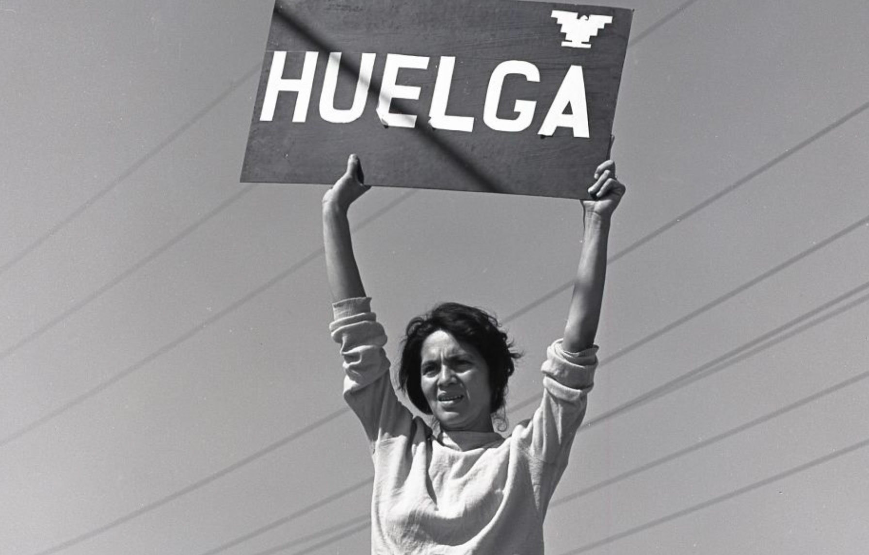 dolores-huerta-s-story-community-organizing-the-chicano-movement-and