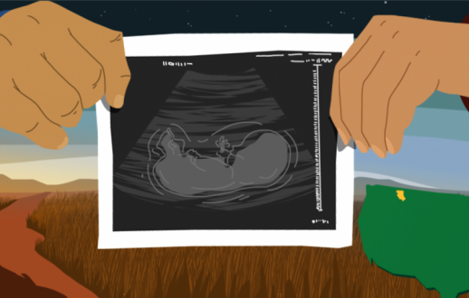 illustration of baby sonogram