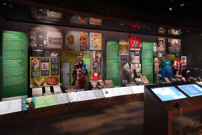 view of the exhibition cases featuring collections and stories.